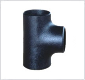 Seamless Butt Weld Pipe Fitting 5